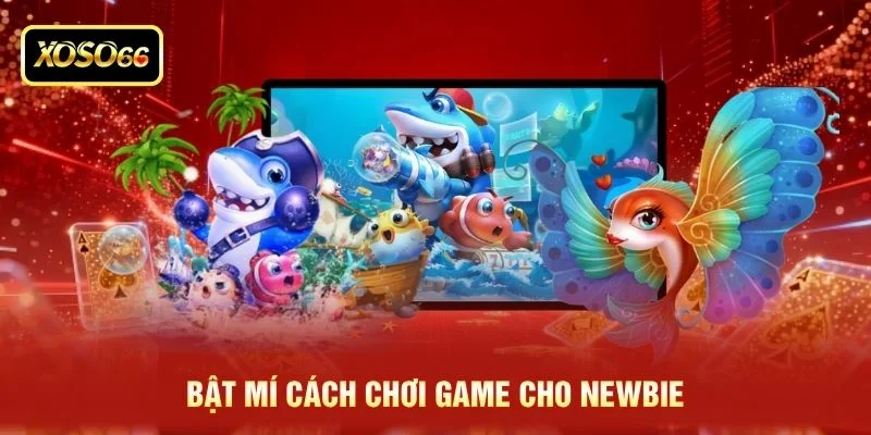 Bật mí cách chơi game cho newbie