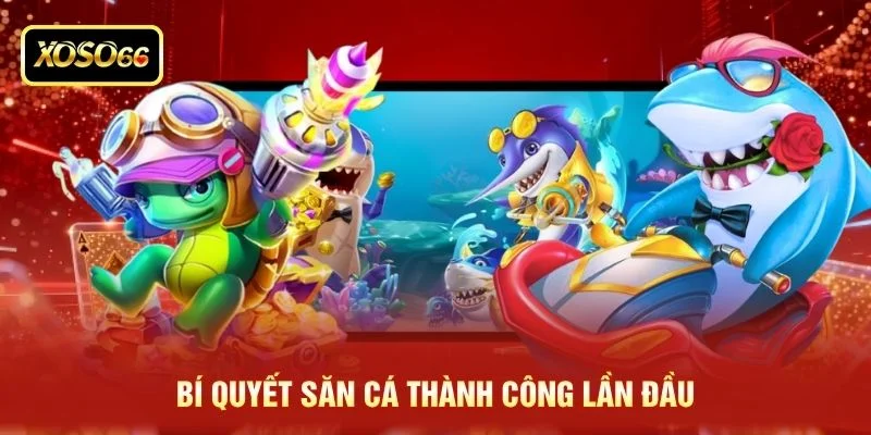 Bí quyết săn cá thành công lần đầu