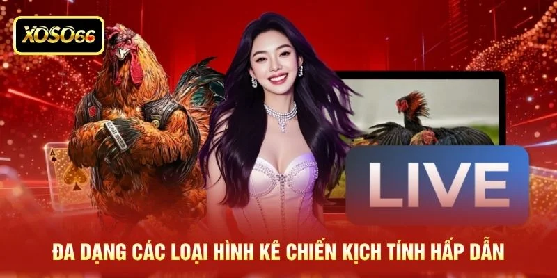 Đa dạng các loại hình kê chiến kịch tính hấp dẫn Đa dạng các loại hình kê chiến kịch tính hấp dẫn