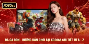 Đá Gà Đòn - Hướng Dẫn Chơi Tại XOSO66 Chi Tiết Từ A - Z