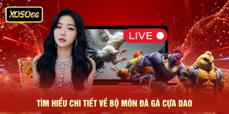 Tìm hiểu chi tiết về bộ môn đá gà cựa dao