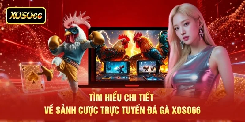 Tìm hiểu chi tiết về sảnh cược trực tuyến đá gà XOSO66 Tìm hiểu chi tiết về sảnh cược trực tuyến đá gà XOSO66